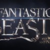 Harry Potter Fans Will Love This: NEWS ON FANTASTIC BEASTS AND WHERE TO FIND THEM