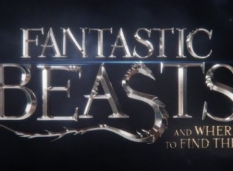 Harry Potter Fans Will Love This: NEWS ON FANTASTIC BEASTS AND WHERE TO FIND THEM